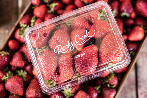 A large punnet of Rocky Creek strawberries