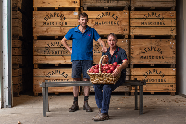 Glen and Nick Staple in the apple packing shed