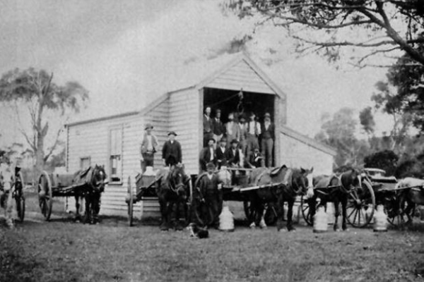 Horse and carts standing in from of the old Mornington dairy farm