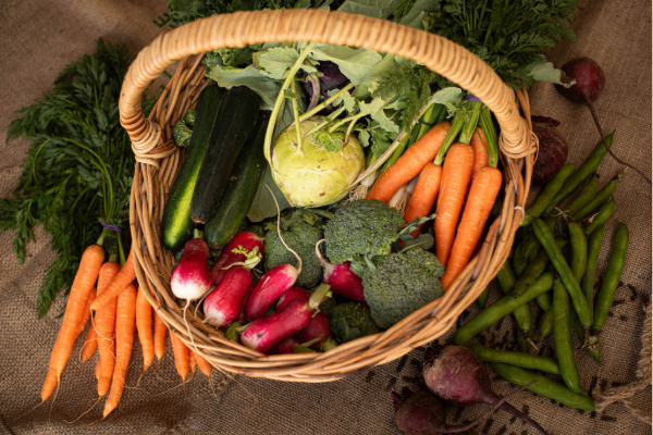 Basket of freshly harvested vegetables