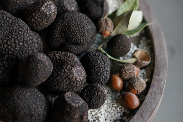 Fresh black truffles from Flinders Truffles